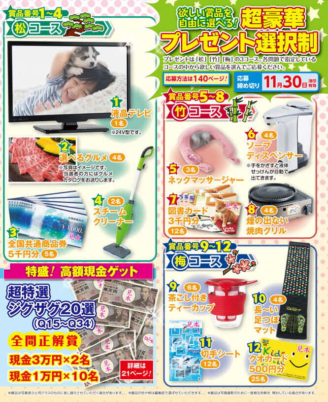 特選 漢字ジグザグデラックス Vol 13 晋遊舎online